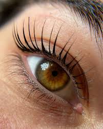 Lifting  de pestañas Koreano- Online